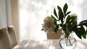 The Power of Natural Light in Your Home: Orientation, Windows & Treatments